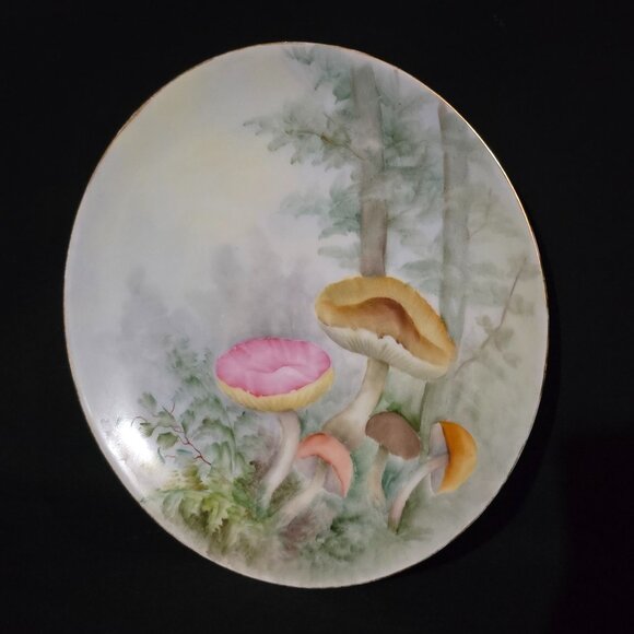 Atq F.Thomas Porcelain Bavaria Germany T.McDonald 1916 Mushroom Plates X4